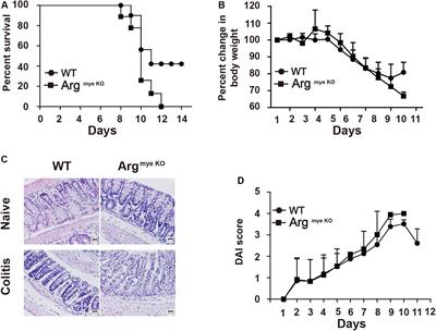 Myeloid-Derived Suppressor Cell-Derived Arginase-1 Oppositely Modulates IL-17A and IL-17F Through the ESR/STAT3 Pathway During Colitis in Mice